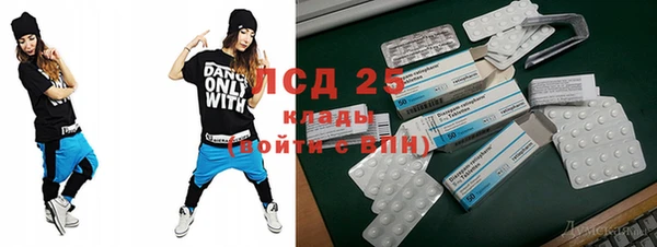 ПСИЛОЦИБИНОВЫЕ ГРИБЫ Алексеевка