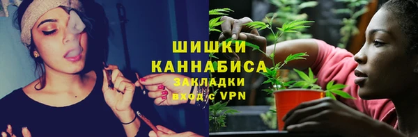 ГАЛЛЮЦИНОГЕННЫЕ ГРИБЫ Абаза