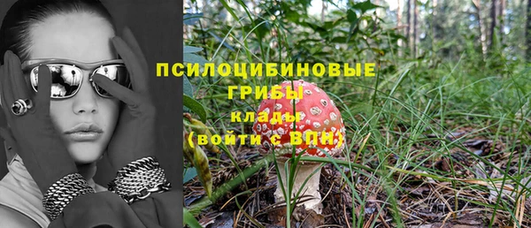 ГАЛЛЮЦИНОГЕННЫЕ ГРИБЫ Абаза