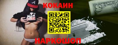 индика Кингисепп