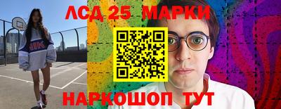 индика Кингисепп