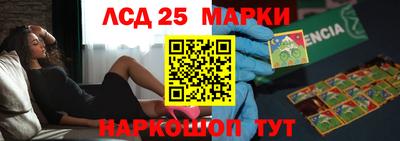 индика Кингисепп