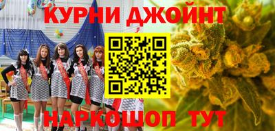 индика Кингисепп