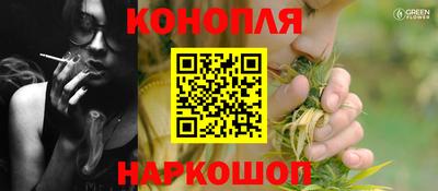 сатива Кимры