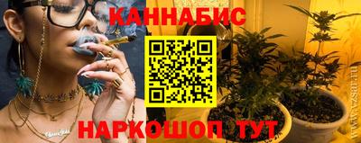 сатива Кимры
