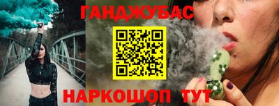индика Кингисепп