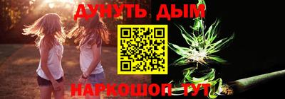 индика Кингисепп