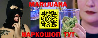 индика Кингисепп