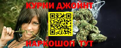 индика Кингисепп