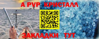 индика Кингисепп