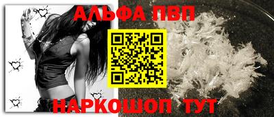 индика Кингисепп