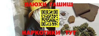 индика Кингисепп