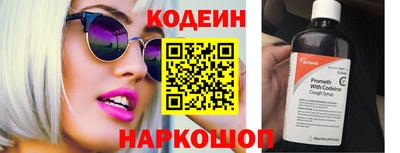 индика Кингисепп