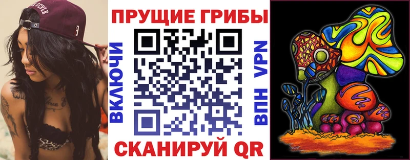 купить закладку  Мирный  Псилоцибиновые грибы Cubensis 