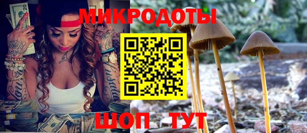 Мирный  Псилоцибиновые грибы мухоморы  Вход с VPN  Псилоцибиновые грибы Psilocybine cubensis 