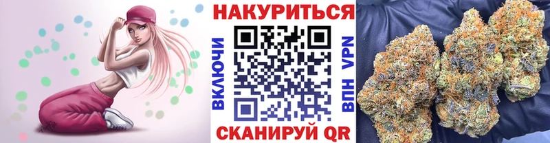 где найти наркотики  Мирный  Конопля сатива 
